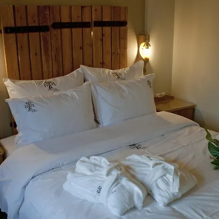 4 Seasons In 4* Vizitsa