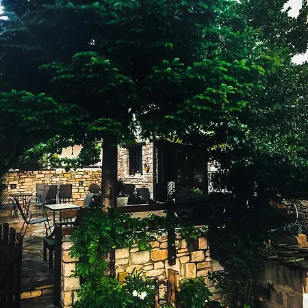 εποχές στην ヴィジツァ