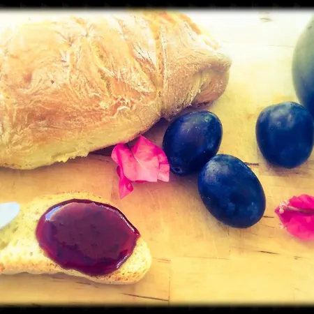 4 Seasons In 4* Vizitsa