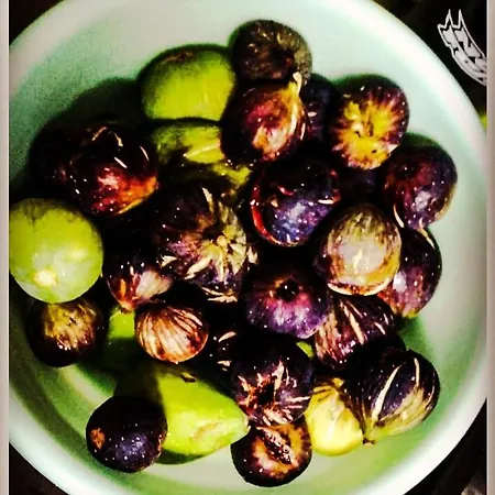 4 Seasons In Maison d'hôtes