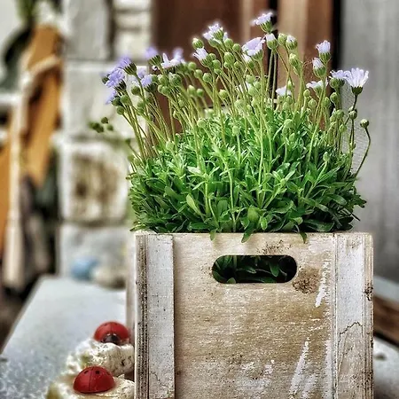 4 Seasons In Gasthuis 4*