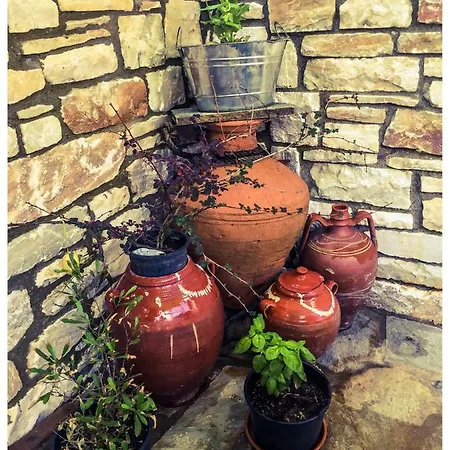 4 Seasons In Vizitsa