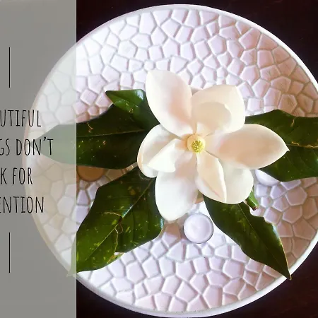 Maison d'hôtes 4 Seasons In Vizitsa