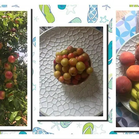 4 Seasons In Maison d'hôtes