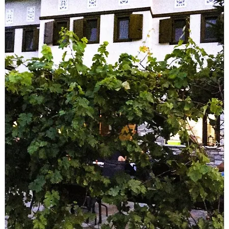 4 Seasons In Guest house *