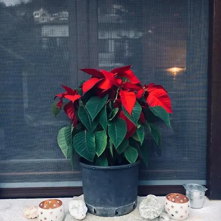 4 Seasons In Maison d'hôtes