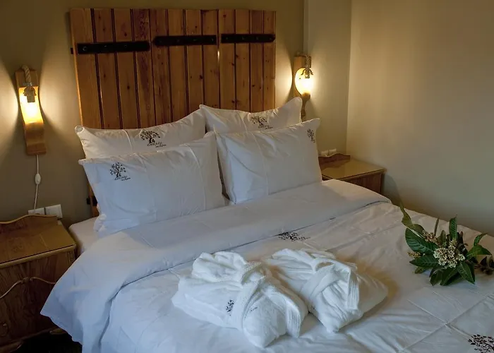 4 Seasons In 4* Vizítsa