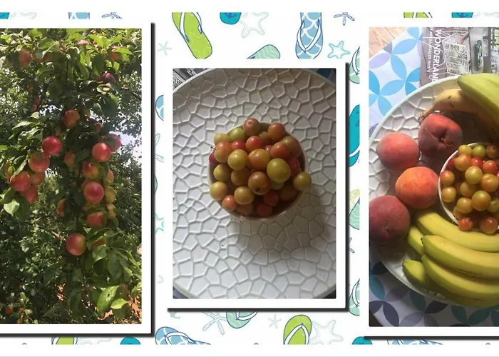 4 Seasons In Gæstehus